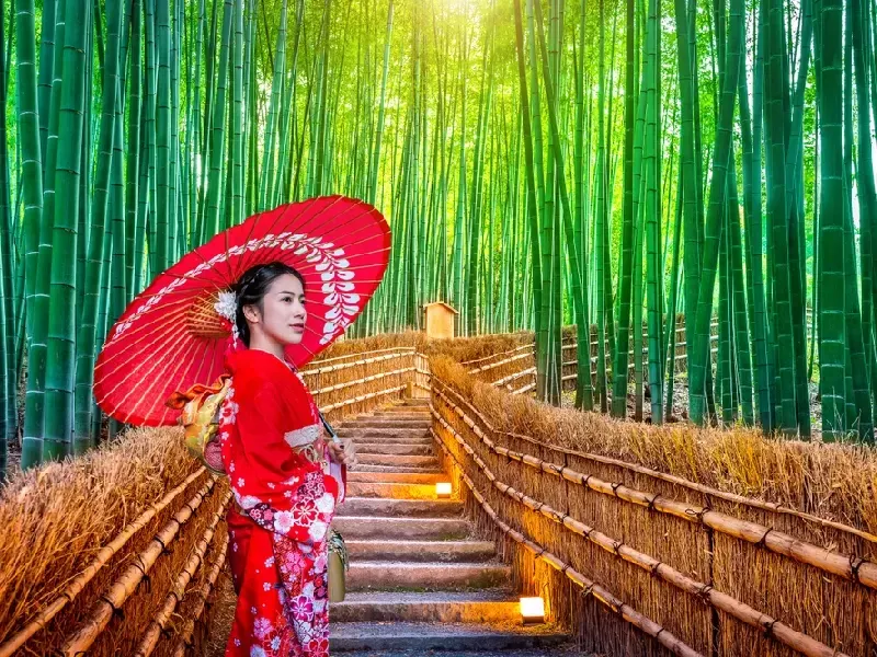 Tour Giappone Tra Tkyo e Kyoto